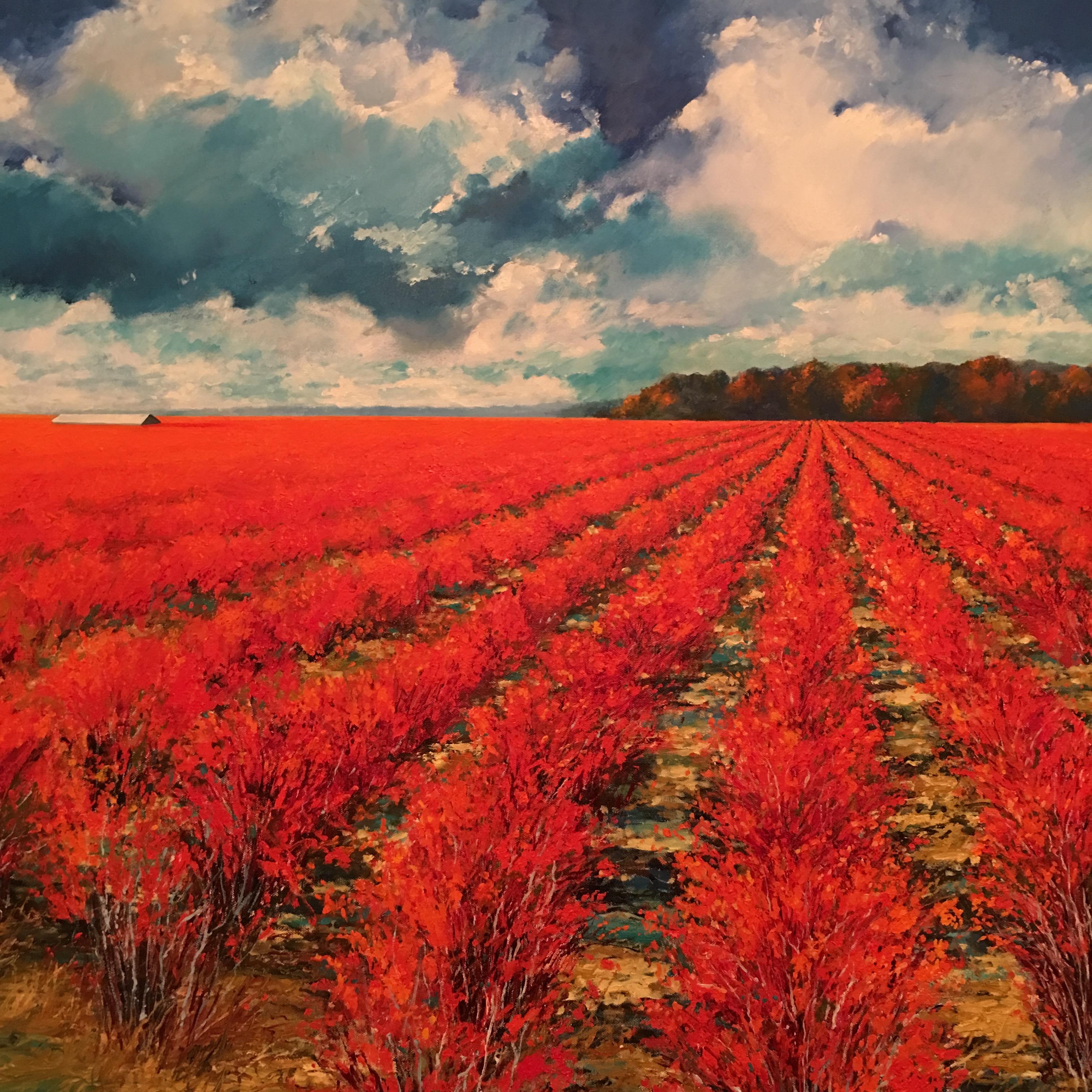 Blueberry Fields in Autumn